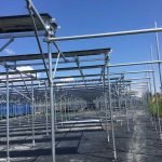 2 Mw Solar Farm Agricultural System-2