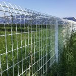 Welded Wire Mesh Fencing garden Fence wire Field Fence-5